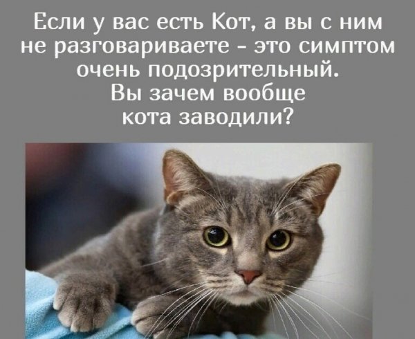 IMG 20260416 185621