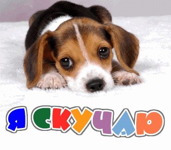 Скучаю