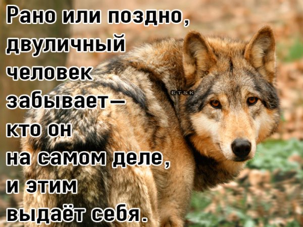 IMG 20190710 122547