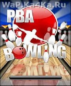 Professional Bowlers Association Bowling