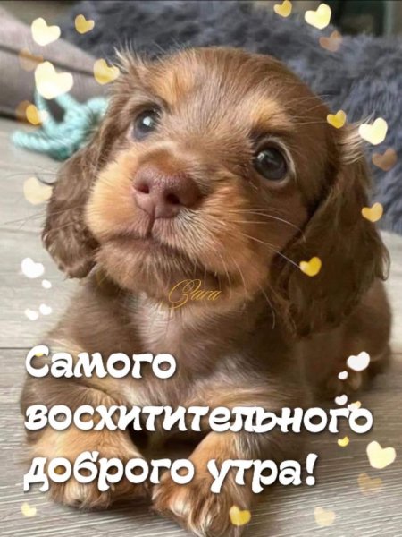 file_89849377