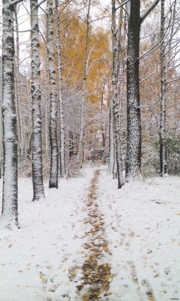 file_94875029