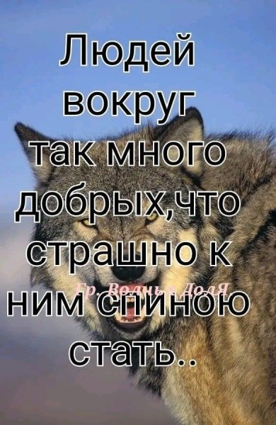 F828fa1d035d6ccee68442e66e6974df
