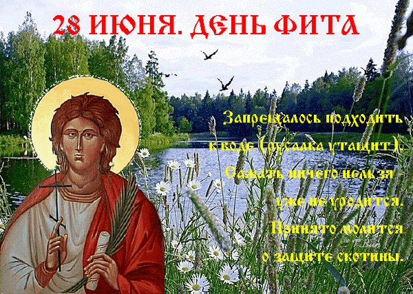 Анимированная открытка день фита (2)