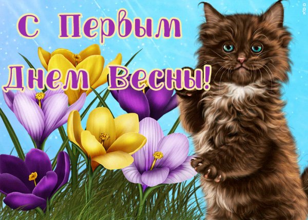 file_95988937