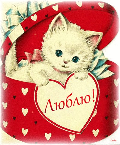 люблю 000210