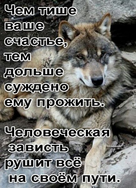 IMG 20200501 213630
