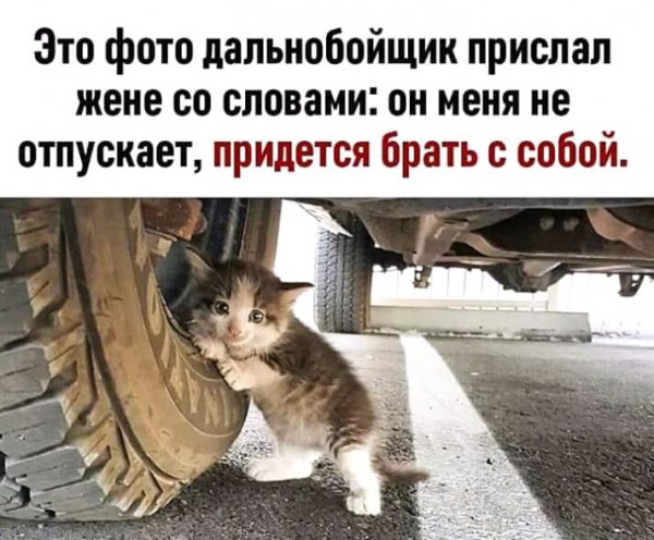 FB IMG 15558297266951391