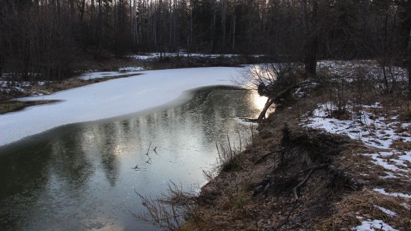 file_67020726