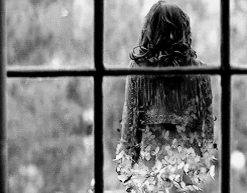 . бабочки окно д.