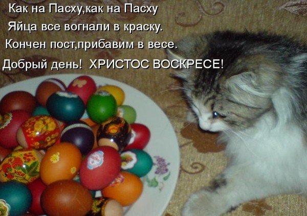 IMG-20170415-WA0001