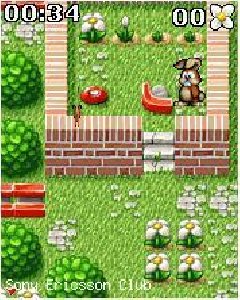 boby carrout4 flower power