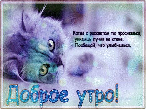 file_92866619