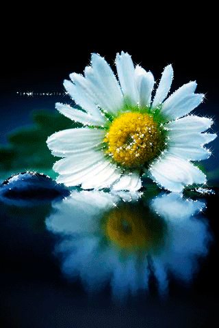 file_63930892