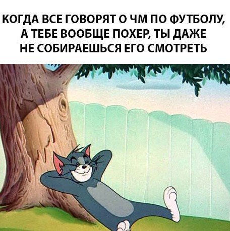 Чемпионат по футболу
