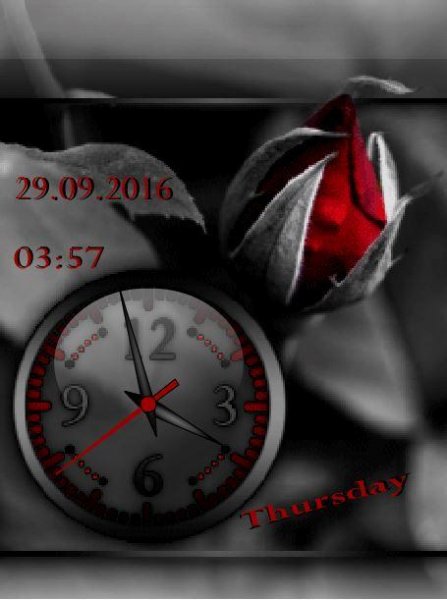 Rosebud... (Lacrima)