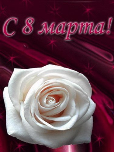 EФотоTR9-uSAL7mE nasimke ru