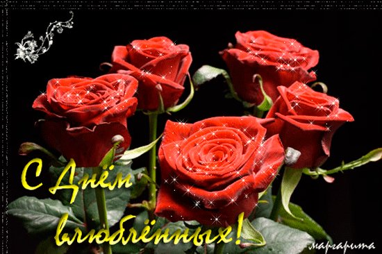zagruze.ru 971536109088
