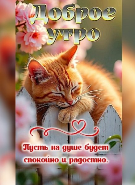 IMG 20260427 223619