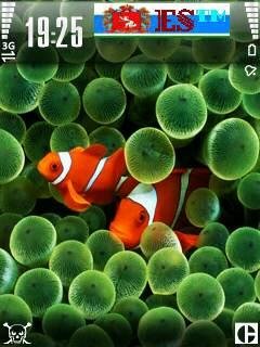 theme 469