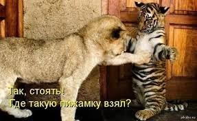 iages