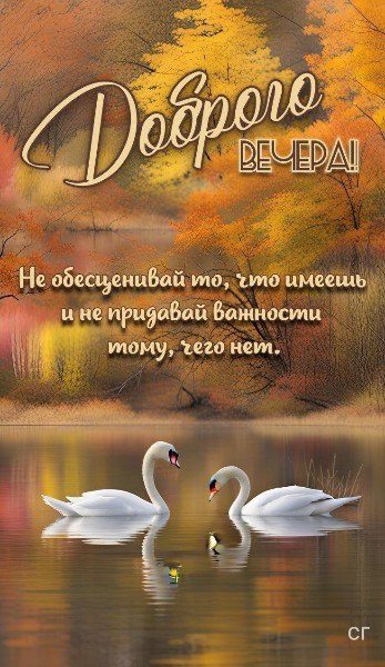 file_94800894