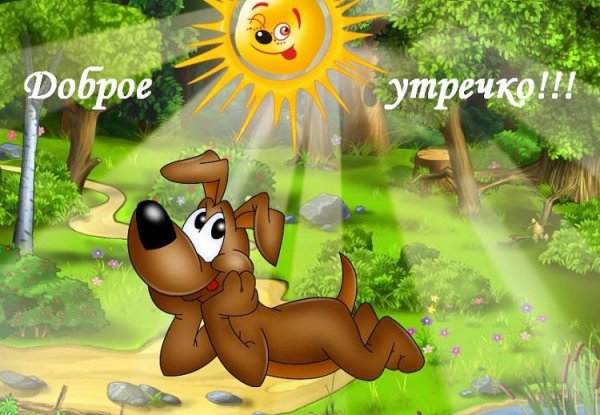 Доброе утречко