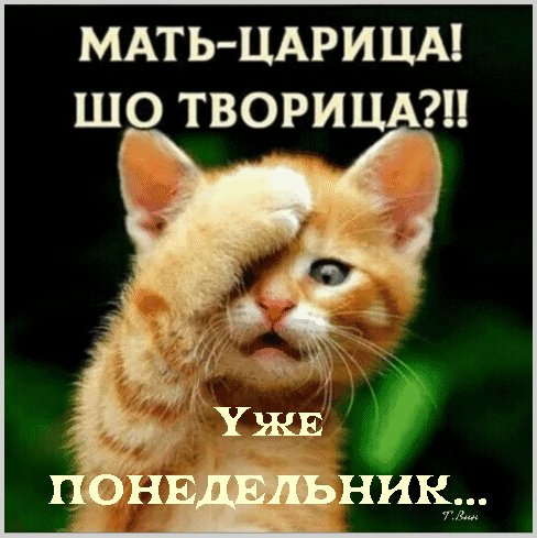 Анимированная открытка мать царица уже