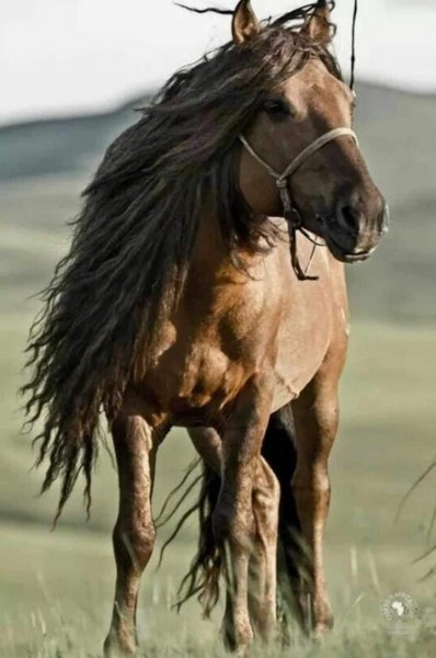 FB IMG 1714436882744