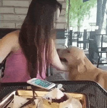 cc2361dbeb7ce3d0c9ce1c3be71cb145c991a9367ee3b8fb7b7706f03c