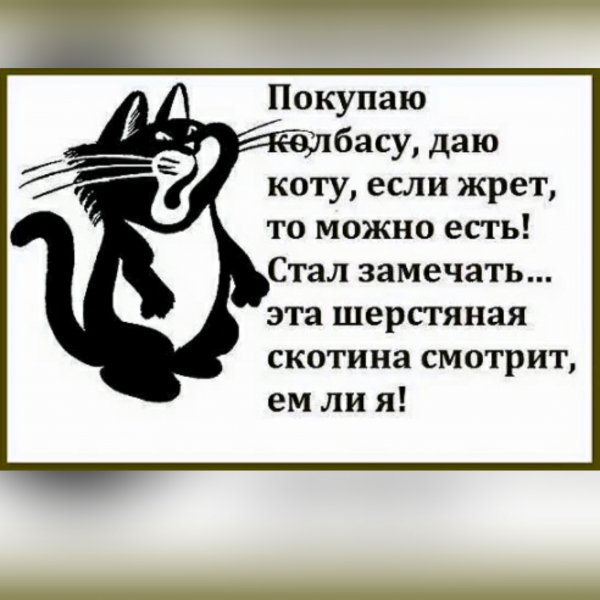 file_102857098