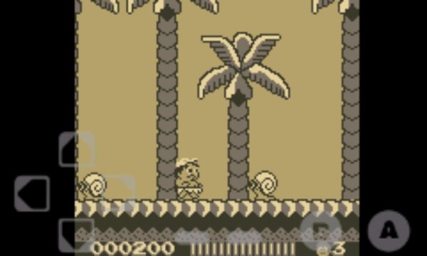 adventure island 2