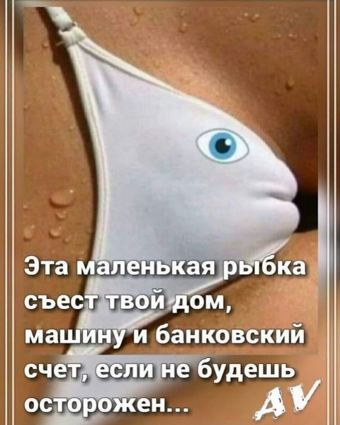 Dabd1b8b017043ee9bd414e2d00aee03