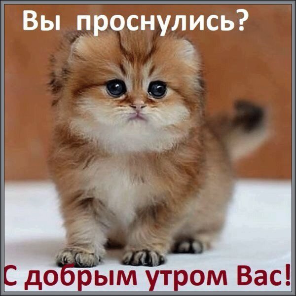file_80219774