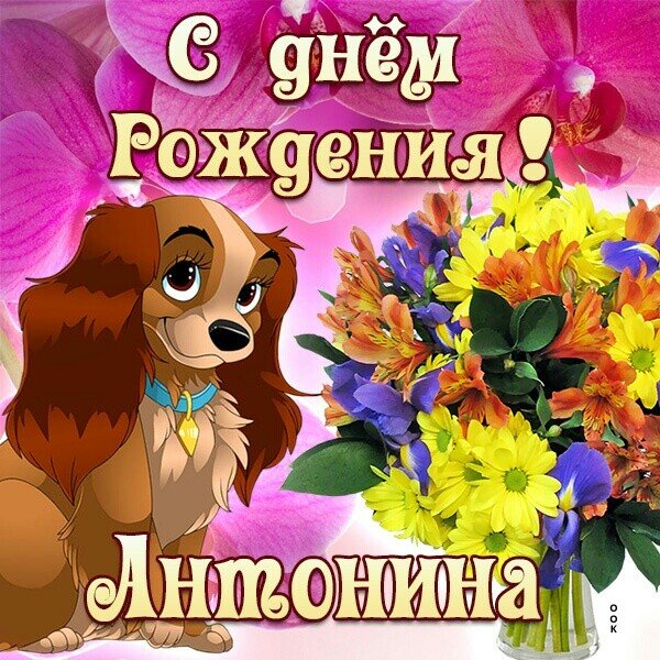 IMG 20221116 015721