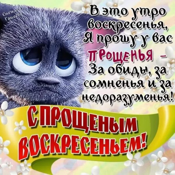 IMG-a45e952008ec9dd51de13dcd40e79c93-V