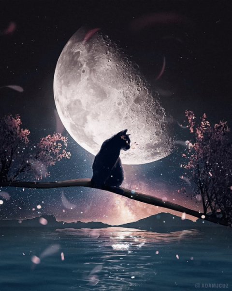 gifart