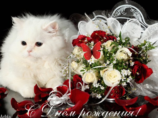 file_91315804