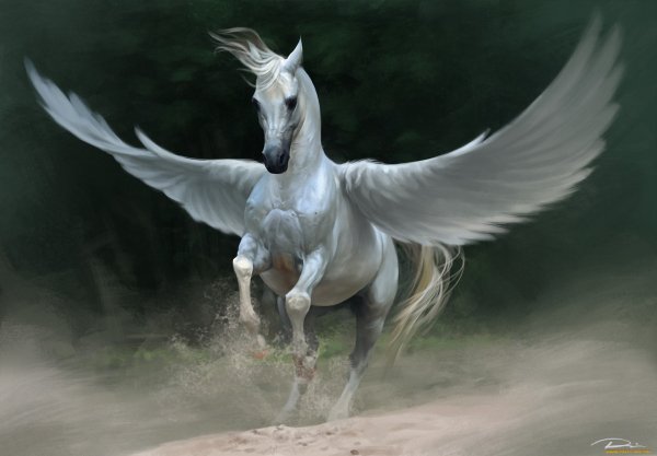 Fantasy 9