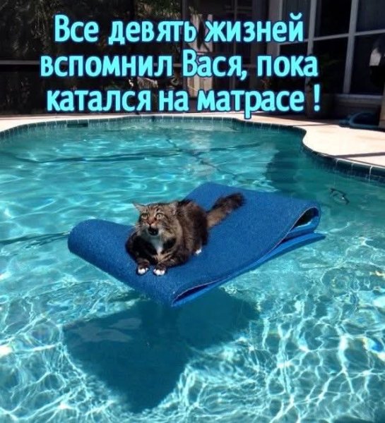 FB IMG 1778703608259