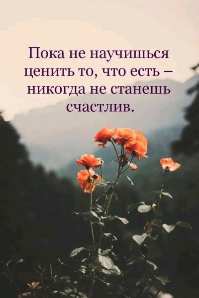 file_94842532