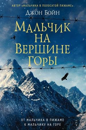 Джон Бойн - Мальчик на вершине горы
