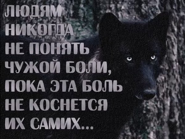 Не понять