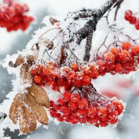 8bbc570ab439f7a6f3fb3655eced5b8d