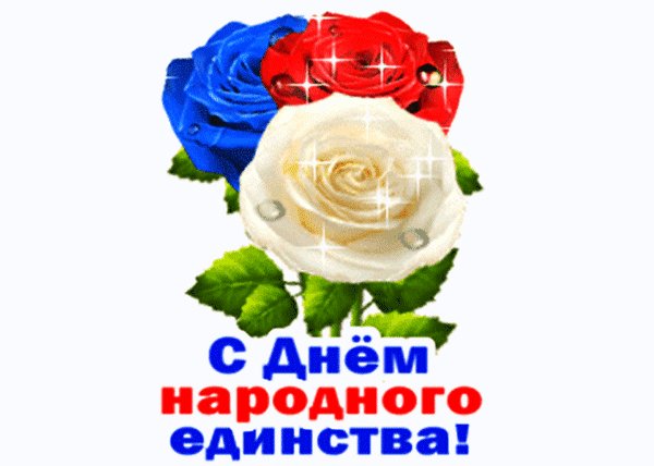 с днем народного единства