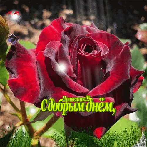 Анимированная открытка приветик желаю