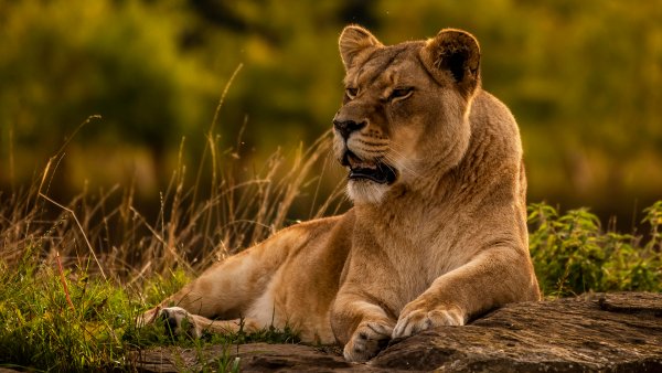 file_90169621