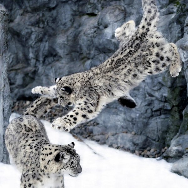 Photo 2023-09-07 23-18-42