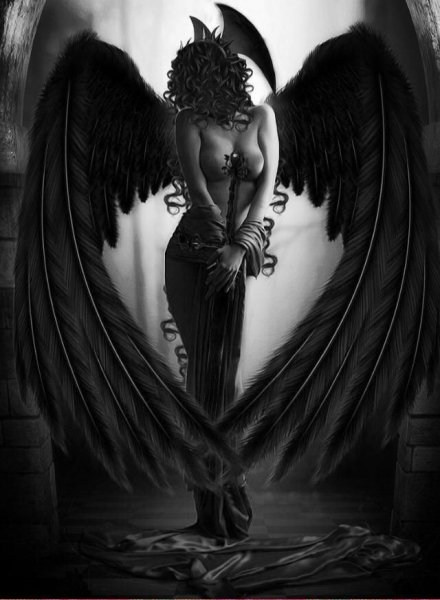 Dark Wings Angel