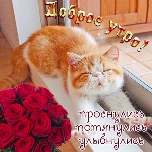 IMG 20181116 164500